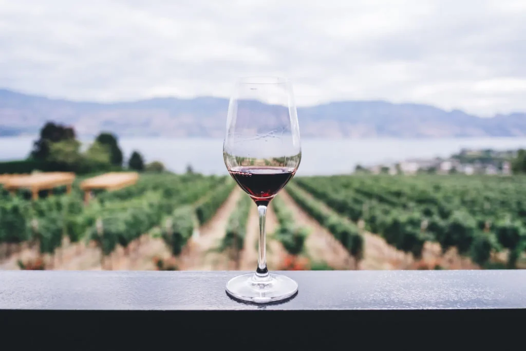 Web design for wineries. The website, the marketing the sales.