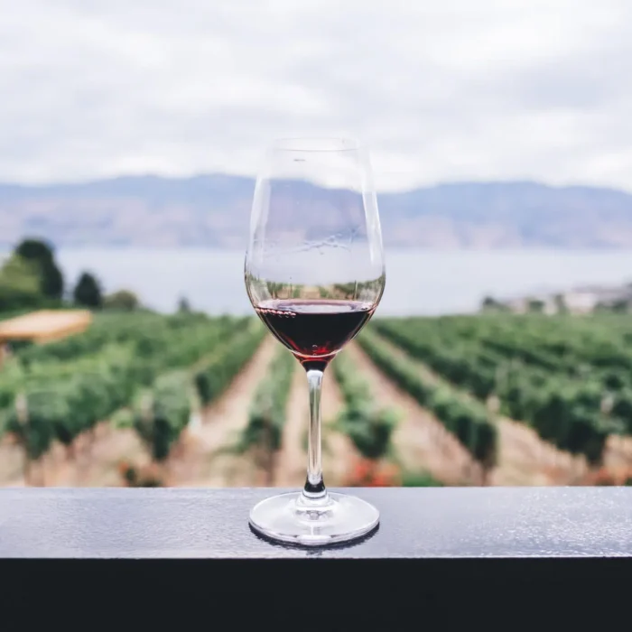 Web design for wineries. The website, the marketing the sales.
