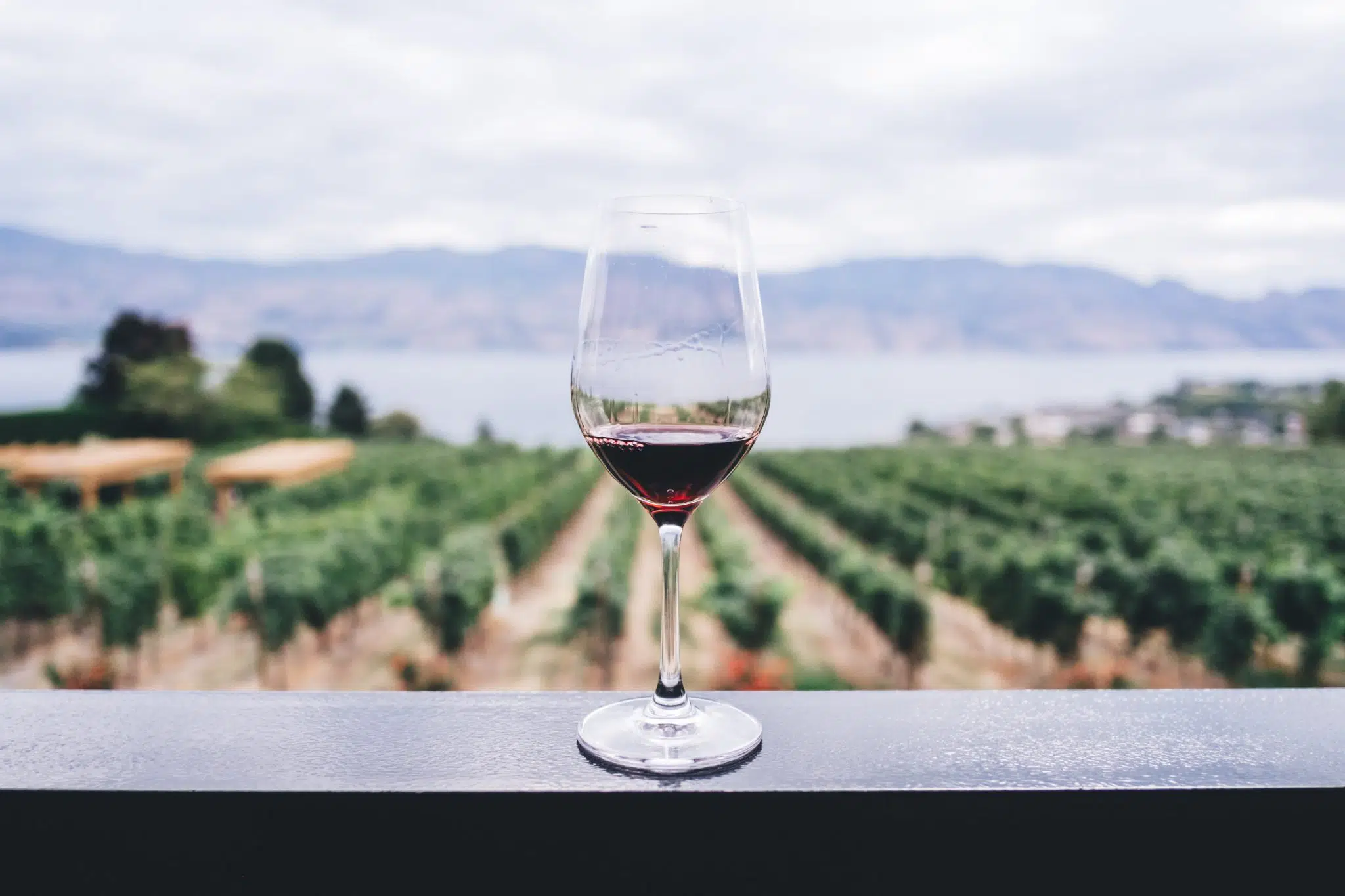 Web design for wineries. The website, the marketing the sales.