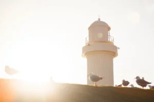 Wollongong SEO Services